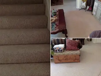 Best Carpet Cleaning Companies